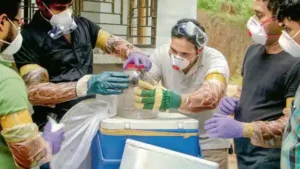 390b40e2-0e4c-11ec-bcff-7c7369007258_1630920979698_1630921007478