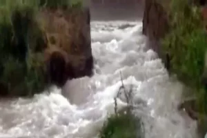 CANAL.-16312625443x2