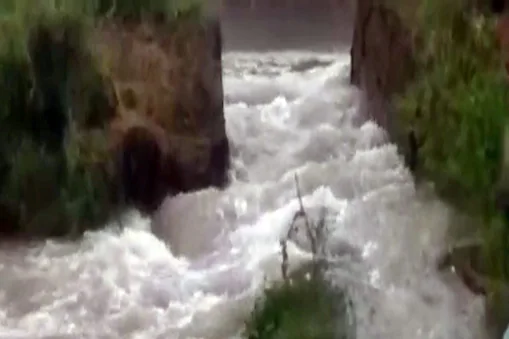 CANAL.-16312625443x2