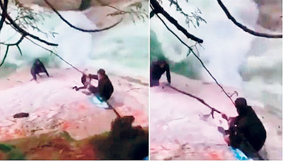 2021_10$largeimg_298977918