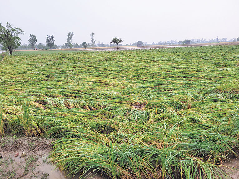 2021_10$largeimg_702445368