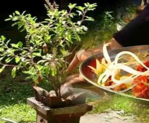 29_12_2021-tulsi_puja_22336884