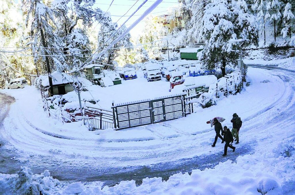 2022_1$largeimg_1071028051