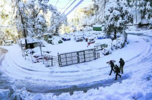 2022_1$largeimg_1071028051