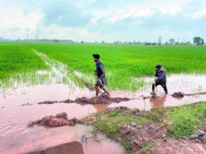 2022_1$largeimg_1389930553