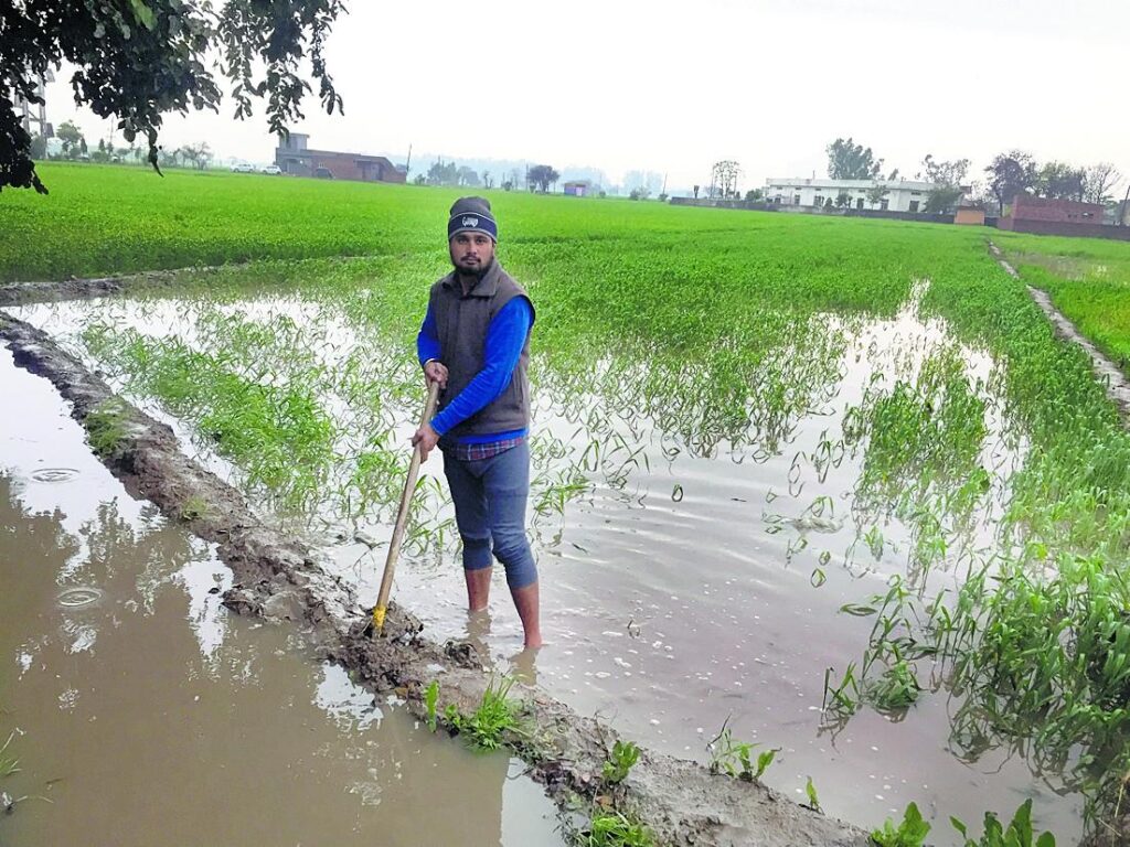 2022_1$largeimg_2015824289