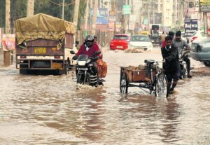 2022_1$largeimg_512867153