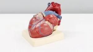 ali-hajiluyi-MhFJNz_D8t4-unsplash_1641828754704_1642692093312