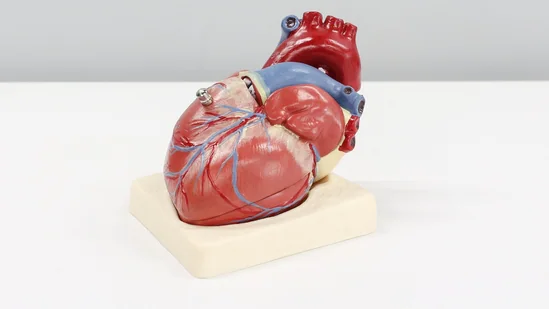 ali-hajiluyi-MhFJNz_D8t4-unsplash_1641828754704_1642692093312