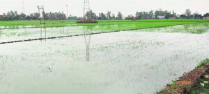 2022_2$largeimg_1347177955