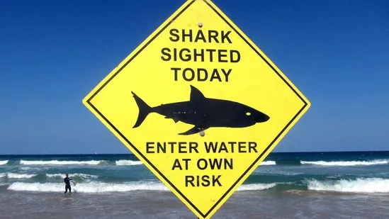 AUSTRALIA-SHARK-0_1645070222958_1645070287516