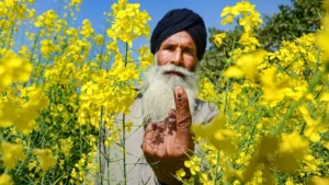 Punjab_vote__PTI__1200x768