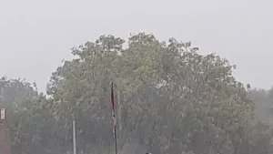 whatsapp-image-2022-02-03-at-83230-am_1643858395