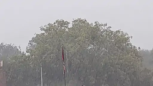 whatsapp-image-2022-02-03-at-83230-am_1643858395