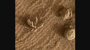 Nasa_Curiosity_Mars_rover_Martian_flower_viral_picture_Instagram_1646898091774_1646898105409