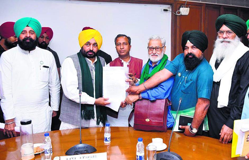 2022_4$largeimg_1364266209 (1)