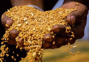 2022_4$largeimg_1840145157