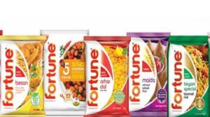 Adaniwilmarfortune-1-2