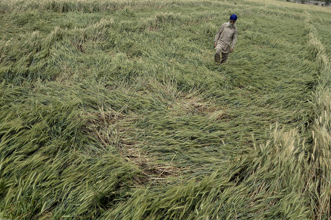 2022_10$largeimg_49703479 (1)