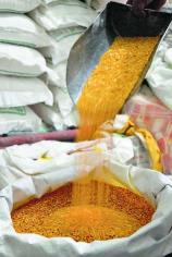 2022_11$largeimg_1090896105