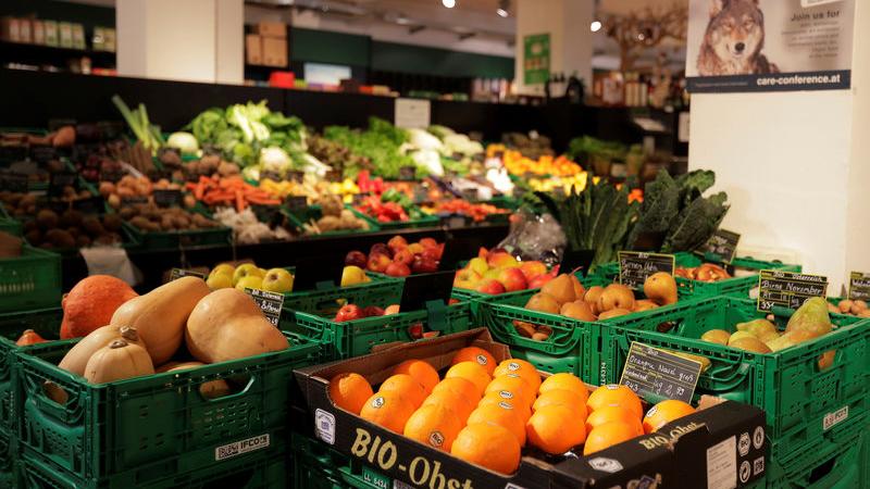 4bf7e90852c3369f8ce3de3213b7b8cd_w_800_h_450 (1)