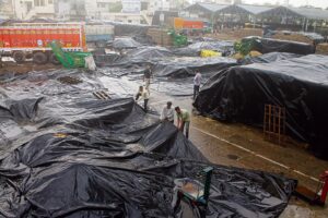 2023_4$largeimg_58087075 (1)