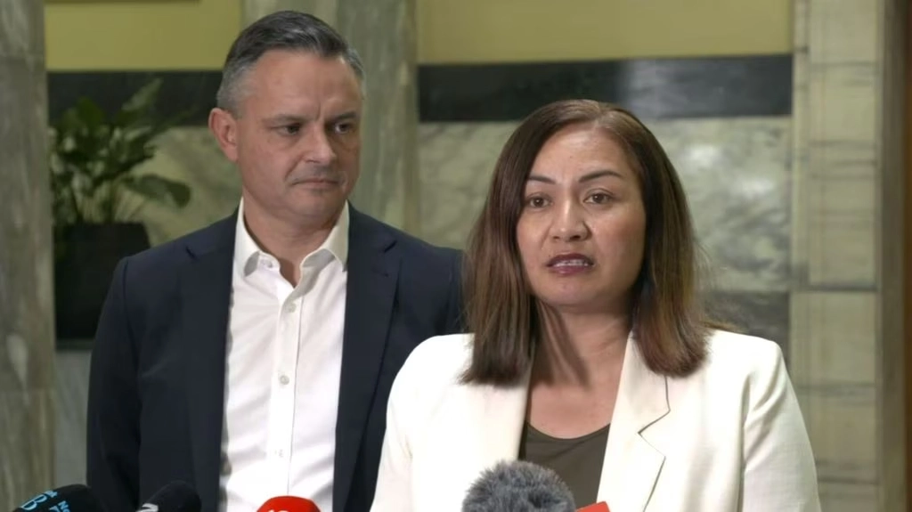 Co-leaders Marama Davidson and James Shaw