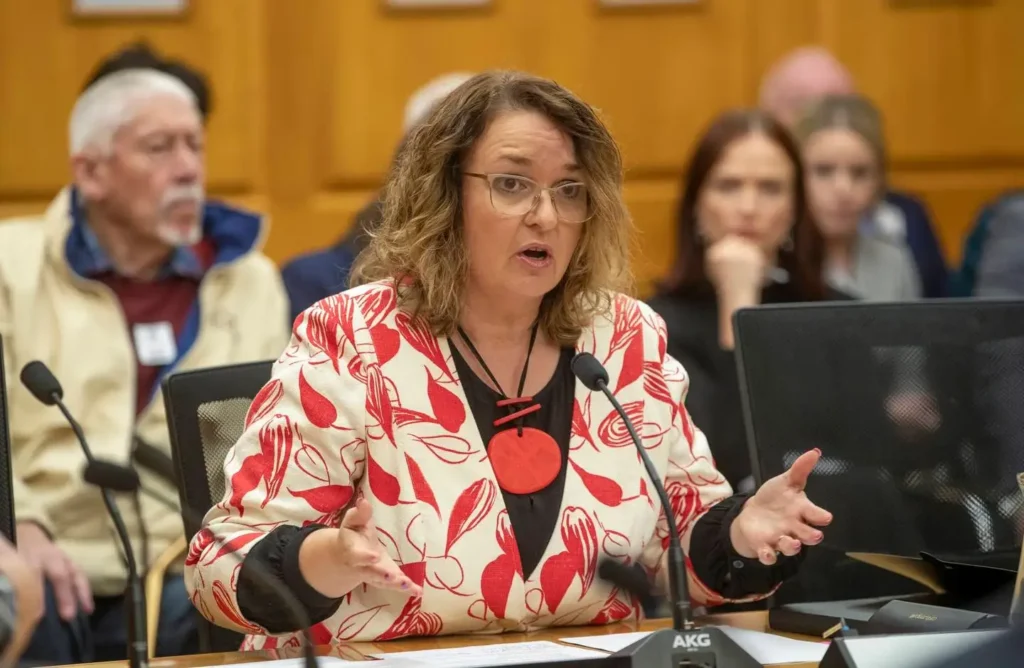 Education Minister Jan Tinetti