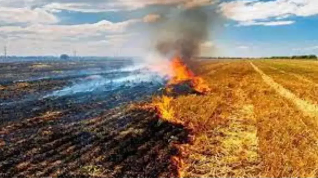 पराली प्रबंधन