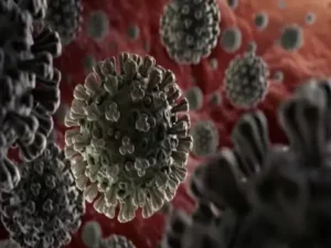 Coronavirus New Sub Variant JN.1