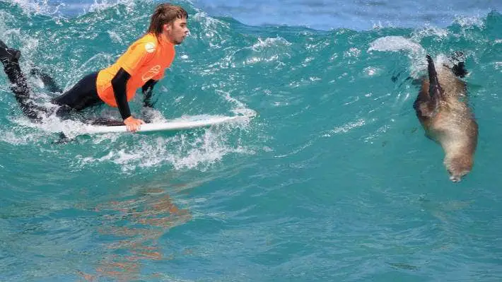 NZ surfing championship