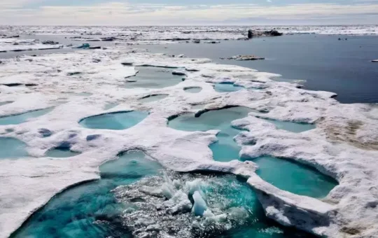 Arctic sea floor