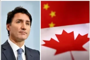 ਵਰਕ ਪਰਮਿਟ