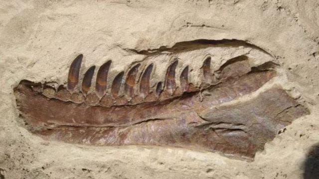 Untitled-design-2024-10-15T015134.523