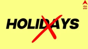 510aa306d1dfa34b7941b21e3b2ef9ba1736223969995709_original