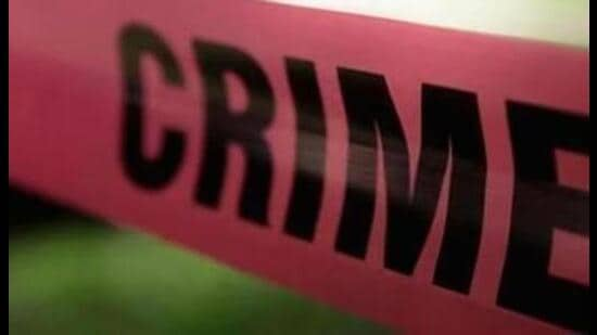 19-year-old held for snatching