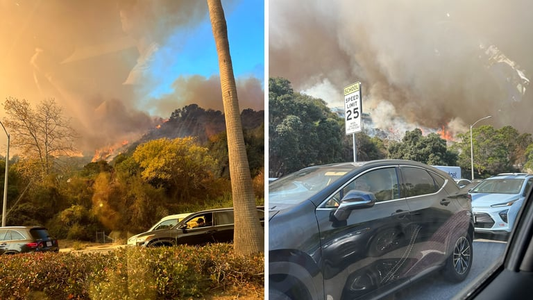 Pacific Palisades Wildfire